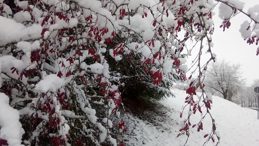 Momentaufnahmen im Advent w&auml;hrend eines Urlaubes in Reifenstein