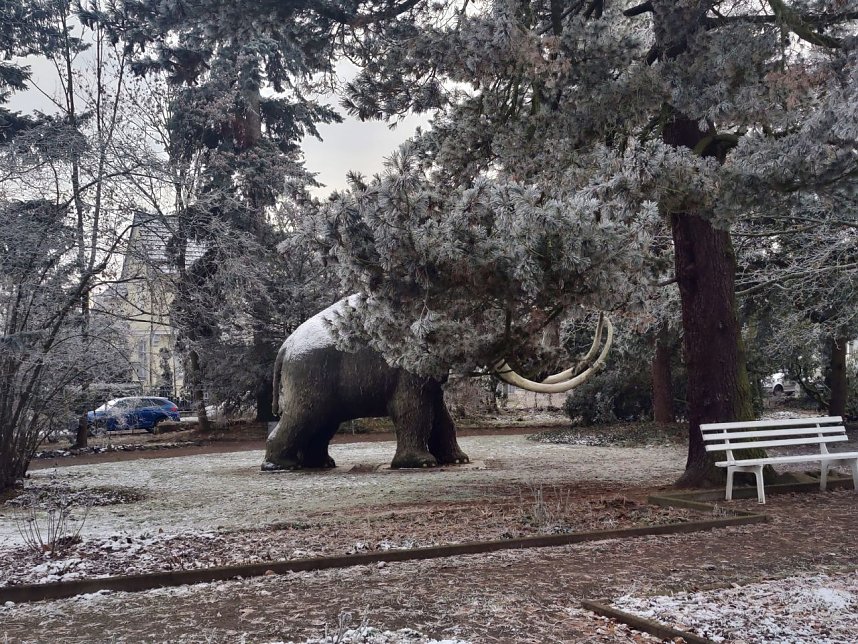 Peter Blei unterwegs in Nordhausen