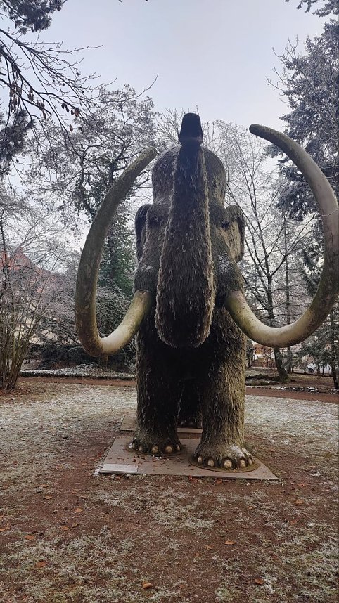 Peter Blei unterwegs in Nordhausen