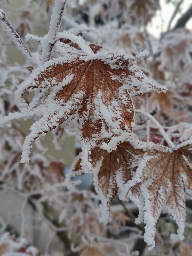 Peter Blei unterwegs in Nordhausen