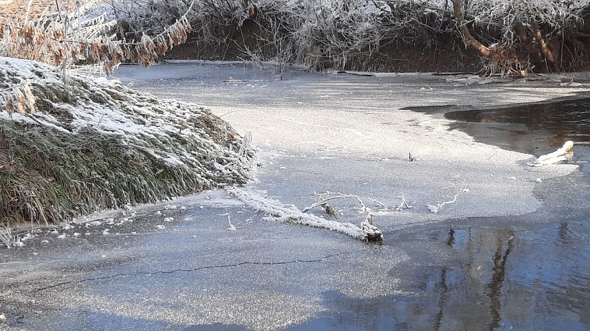 Winterimpressionen, aufgenommen an der Wipper