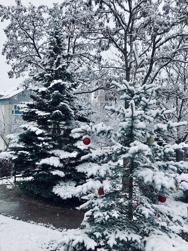 Advent im Pflegeheim