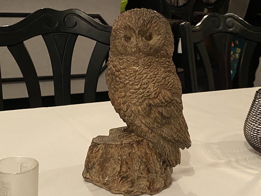 Der Uhu gilt den Schlaraffen als weises Wappentier, nicht als Klebstoff