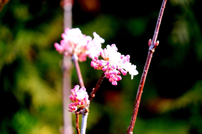 Peter Blei unterwegs in Nordhausen