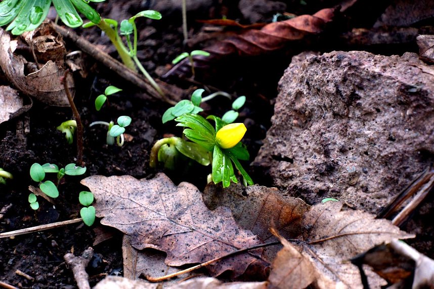 Peter Blei unterwegs in Nordhausen