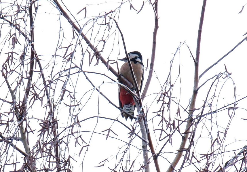 Peter Blei unterwegs in Nordhausen