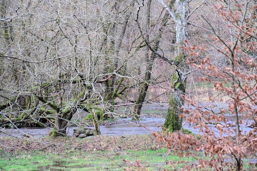 Peter Blei unterwegs an der Bere