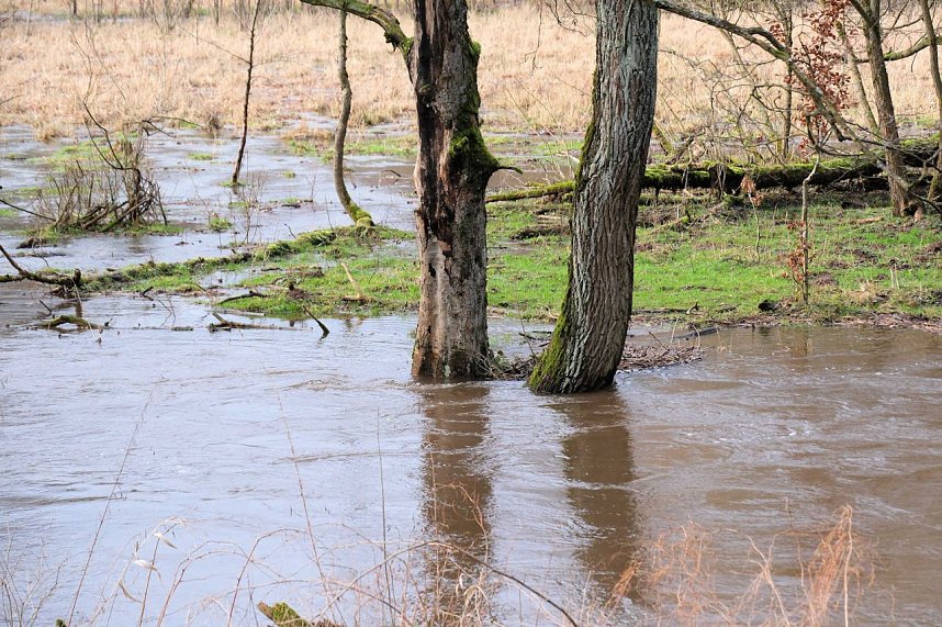 Peter Blei unterwegs an der Bere
