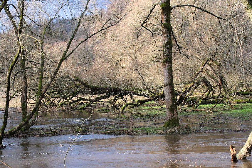 Peter Blei unterwegs an der Bere