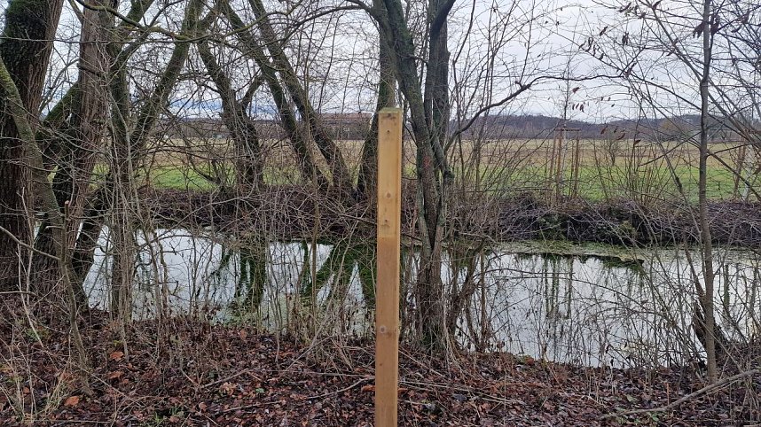 Demoliert, abgerissen - Vandalismus pur