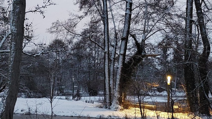 Sonntagmorgen im Stadtpark