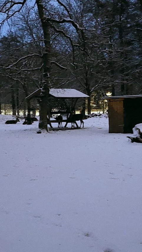 Sonntagmorgen im Stadtpark