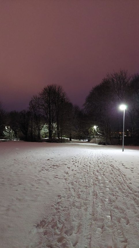 Sonntagmorgen im Stadtpark
