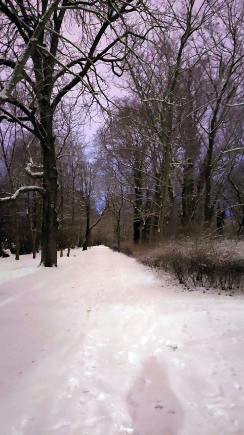 Sonntagmorgen im Stadtpark