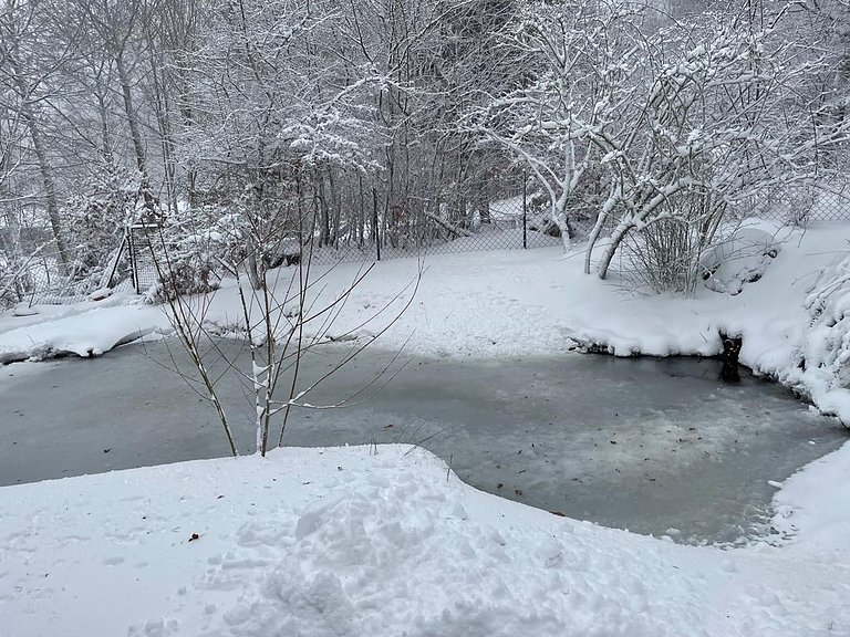Winter in Rothes&uuml;tte