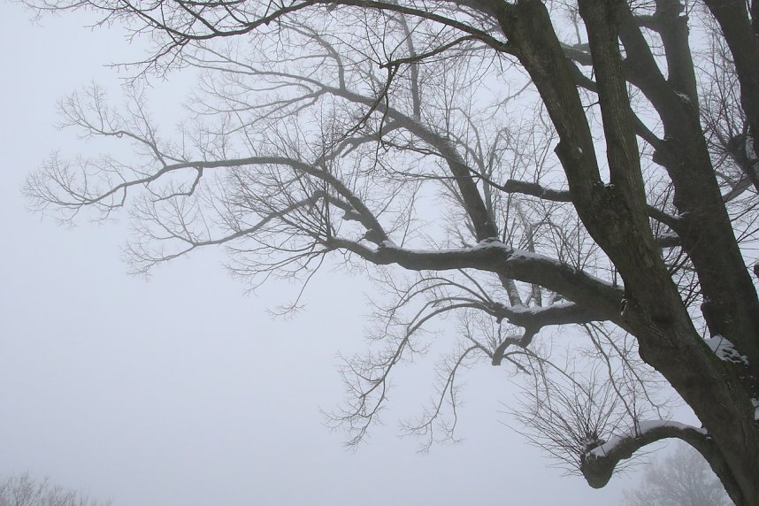 Winter auf Hohnstein