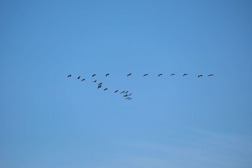 Spaziergang am Stausee Kelbra mit interessanten An- und Aussichten