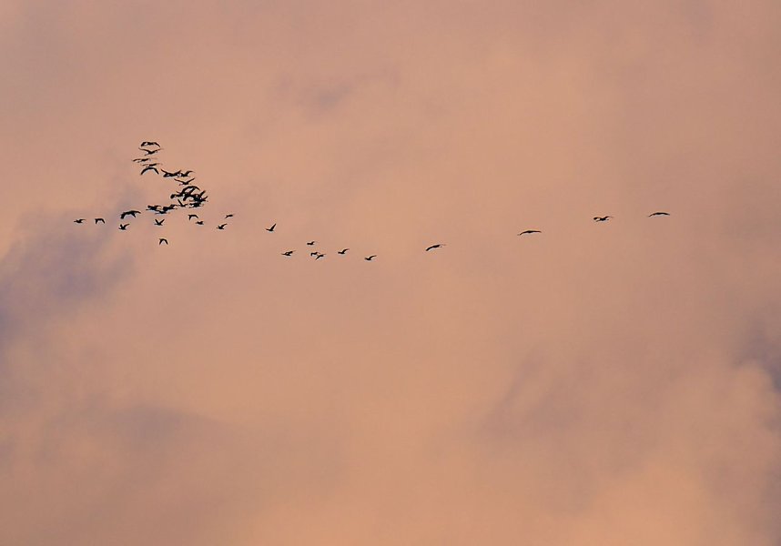 Spaziergang am Stausee Kelbra mit interessanten An- und Aussichten