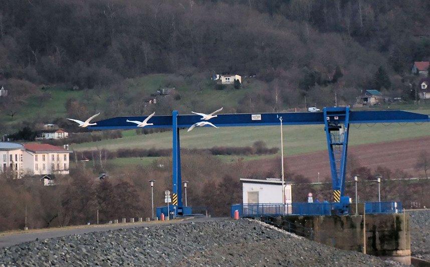 Spaziergang am Stausee Kelbra mit interessanten An- und Aussichten