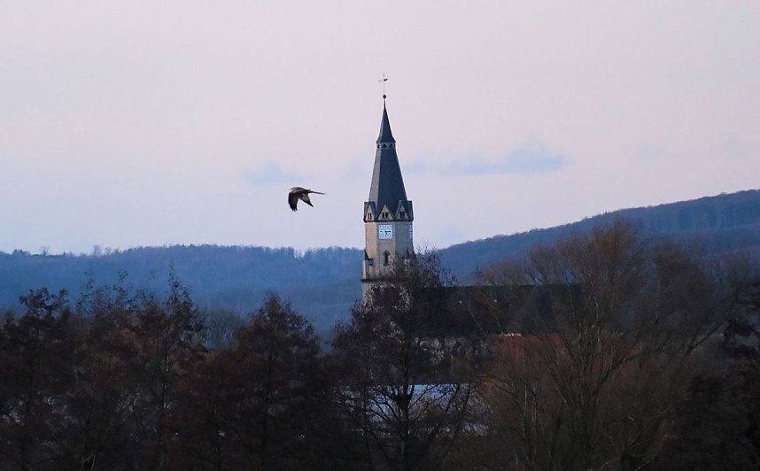 Spaziergang am Stausee Kelbra mit interessanten An- und Aussichten
