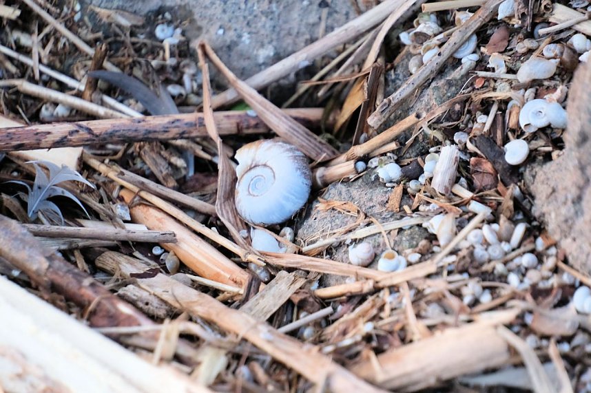 Spaziergang am Stausee Kelbra mit interessanten An- und Aussichten