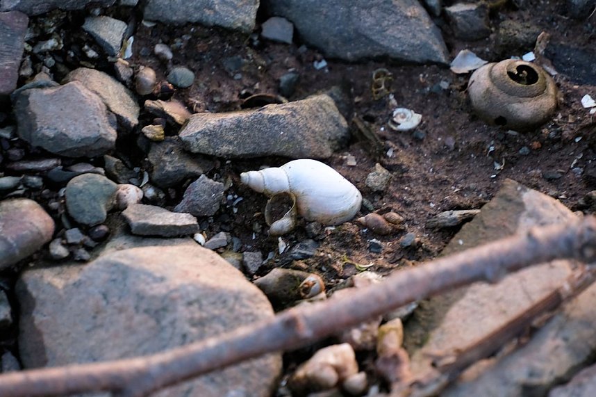 Spaziergang am Stausee Kelbra mit interessanten An- und Aussichten