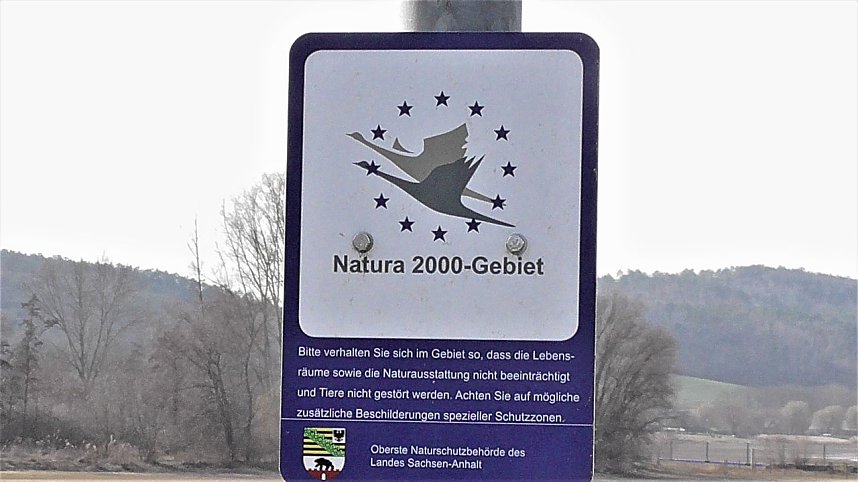 G&auml;hnende Leere im Stausee Kelbra