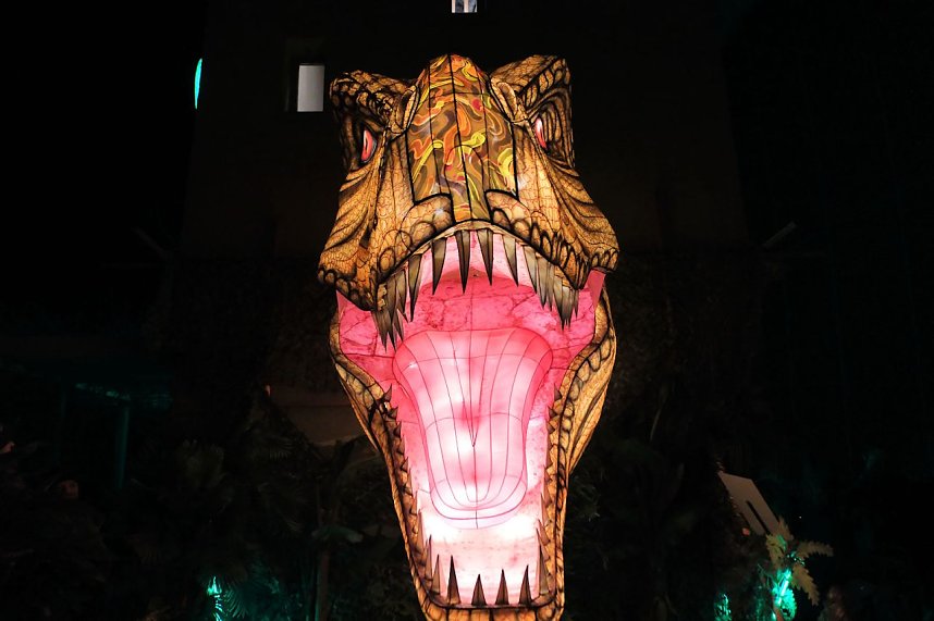 Peter Blei in den magischen Lichterwelten