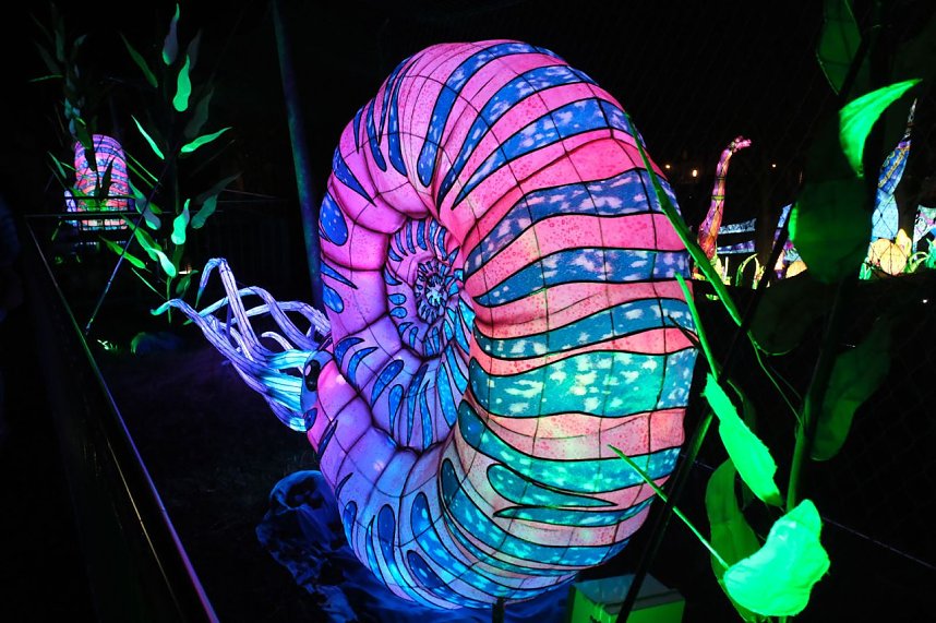 Peter Blei in den magischen Lichterwelten