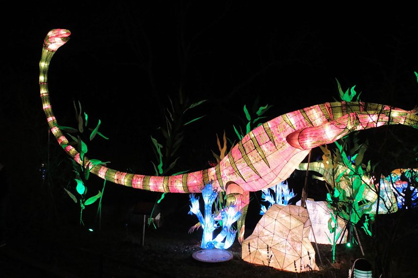 Peter Blei in den magischen Lichterwelten