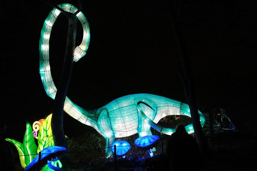 Peter Blei in den magischen Lichterwelten