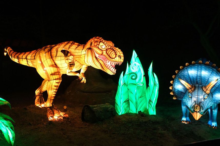 Peter Blei in den magischen Lichterwelten