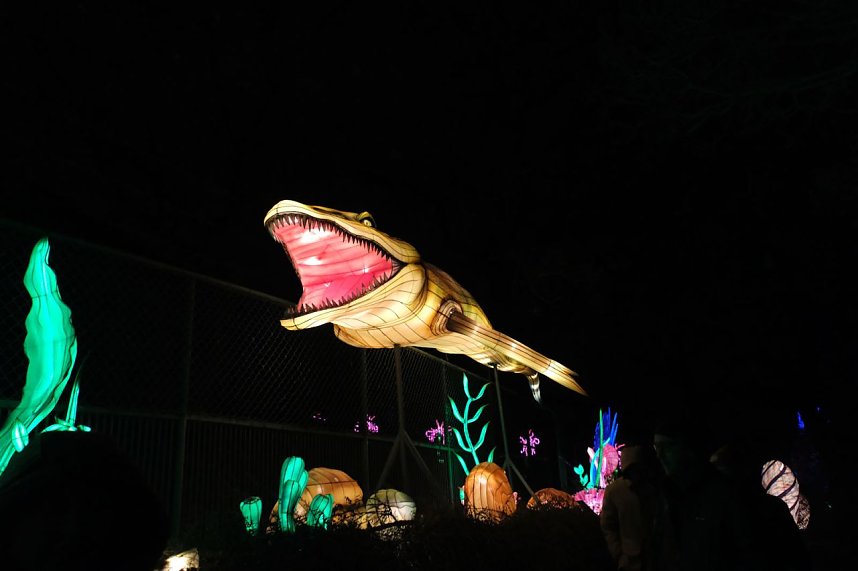 Peter Blei in den magischen Lichterwelten