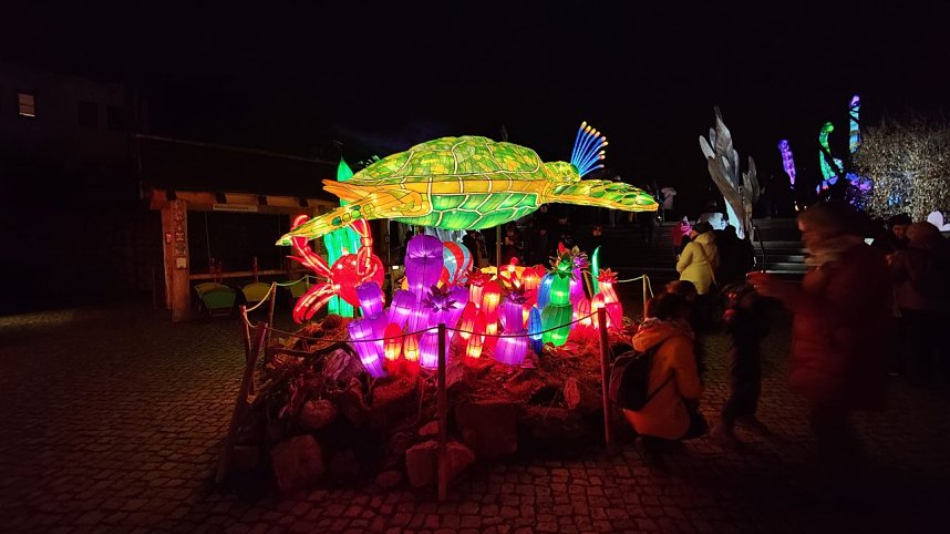 Peter Blei in den magischen Lichterwelten