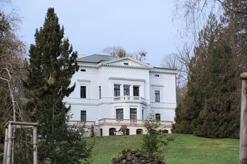 Beobachtungen im Park Hohenrode