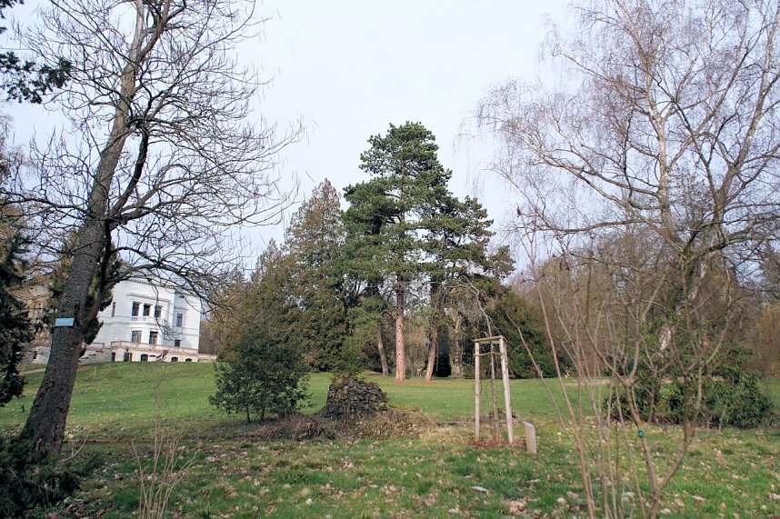 Beobachtungen im Park Hohenrode