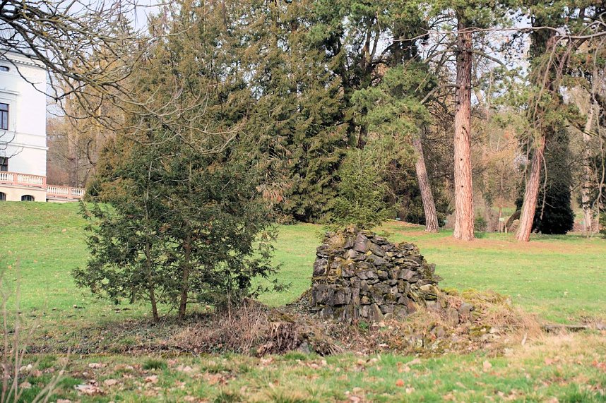 Beobachtungen im Park Hohenrode