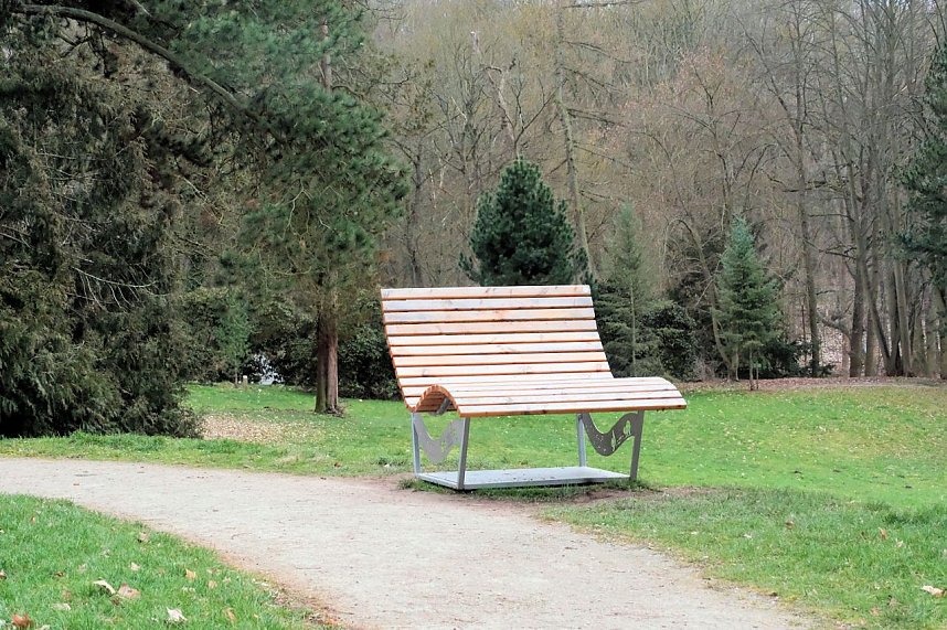 Beobachtungen im Park Hohenrode