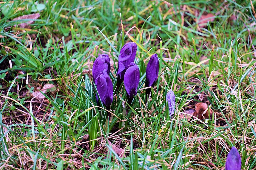 Beobachtungen im Park Hohenrode