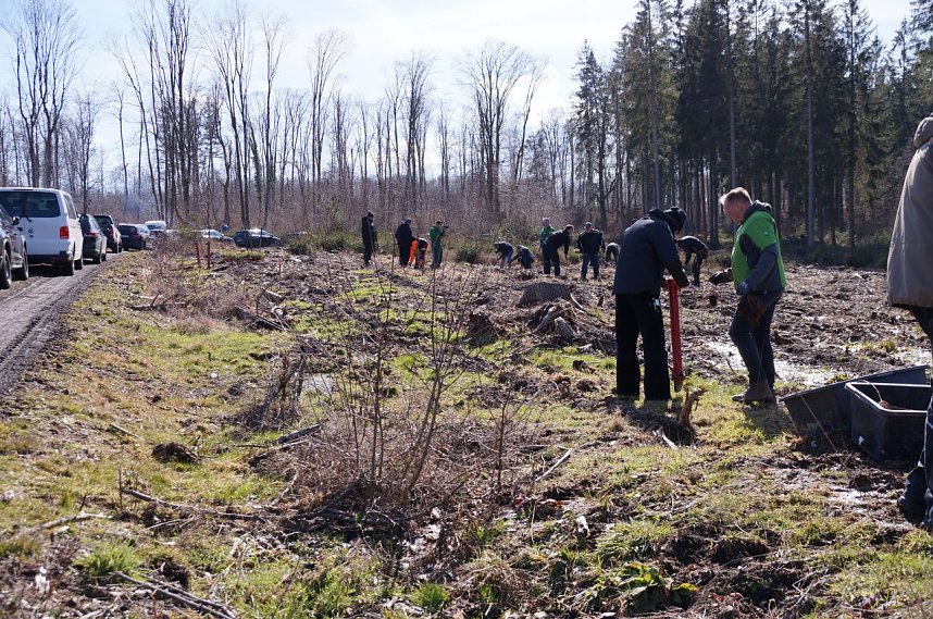 Baumzeit am Josephskreuz