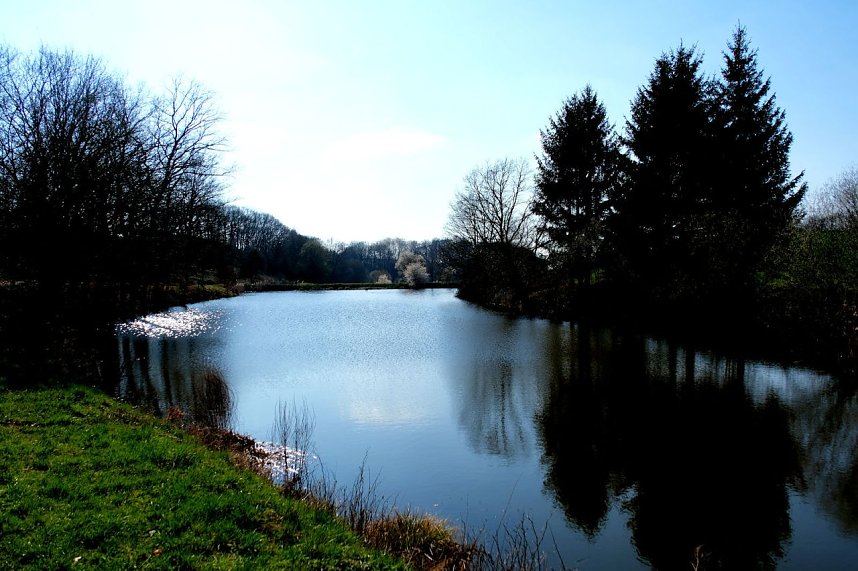 Osterspaziergang im Vorharz