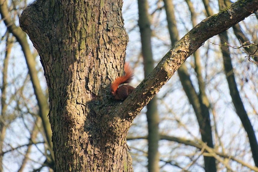Peter Blei unterwegs in der Windl&uuml;cke