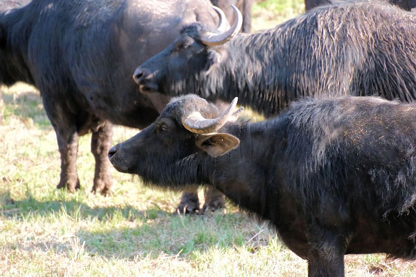 Peter Blei unterwegs in der Windl&uuml;cke