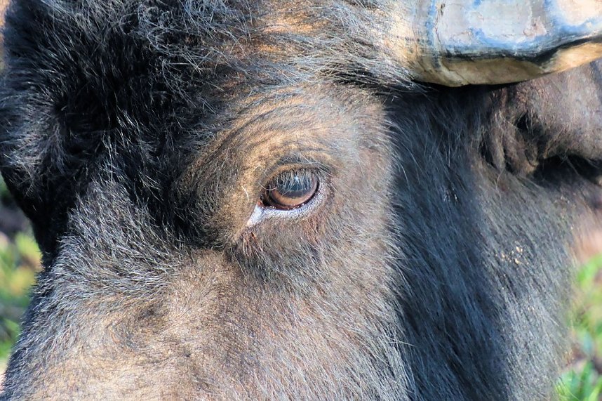 Peter Blei unterwegs in der Windl&uuml;cke