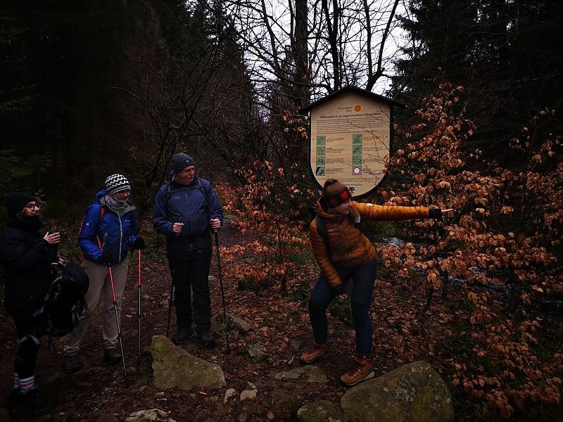 Jour Fixe im Nationalpark mit Sara Wegrzyk
