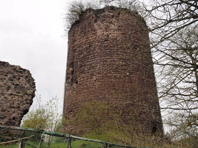 Fr&uuml;hlingsspuren auf dem Weg zur Ebersburg
