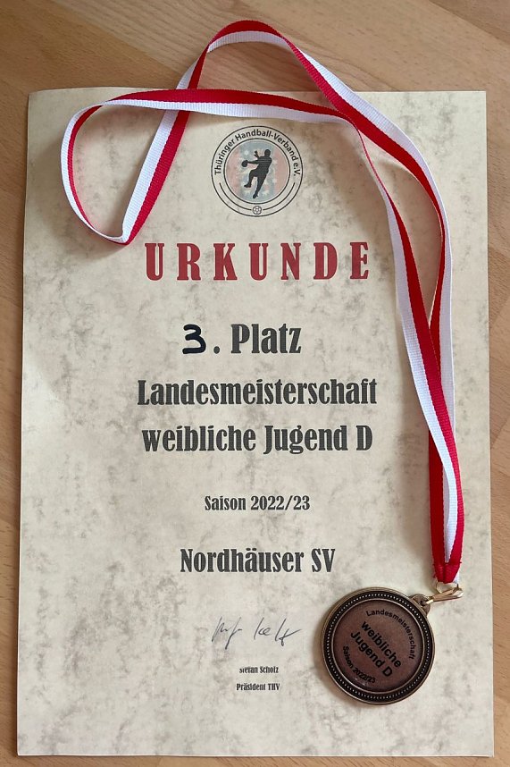 Erfolgreiche weibliche D-Jugend des NSV