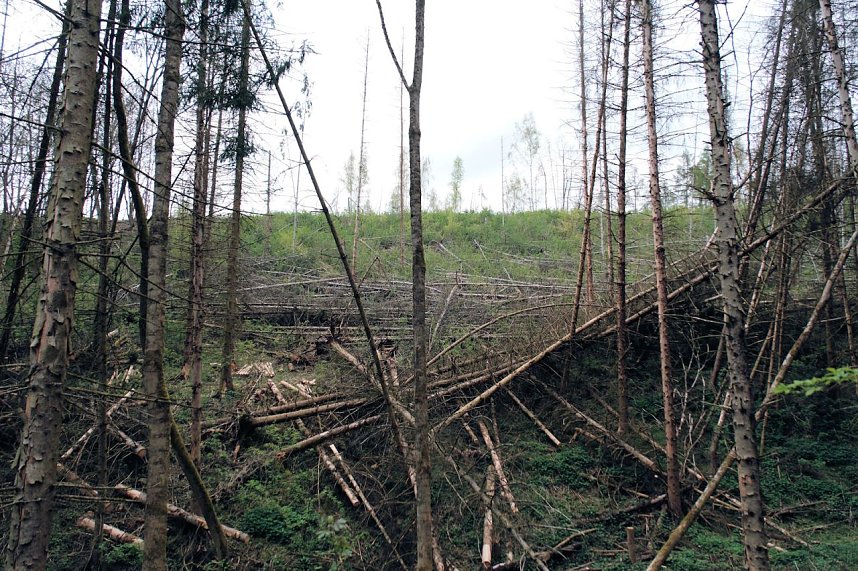 Peter Blei unterwegs in der Natur