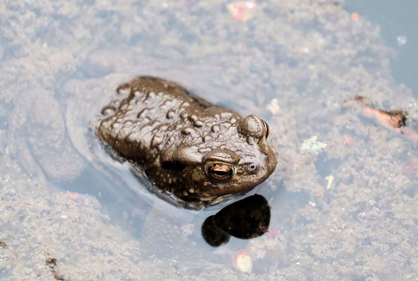 Peter Blei unterwegs in der Natur