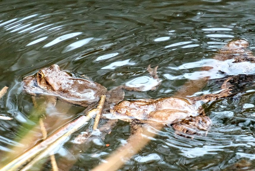 Peter Blei unterwegs in der Natur